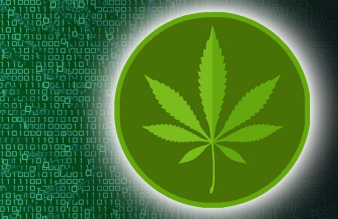 cannabis cryptocurrency stock