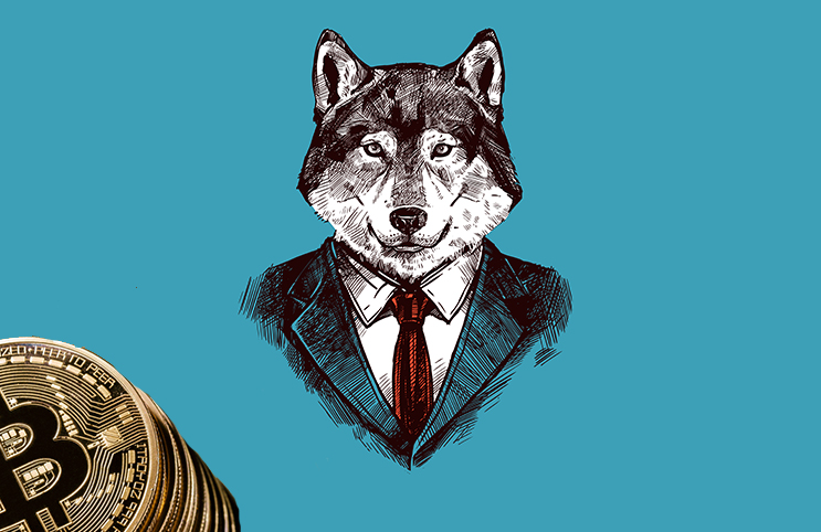 The wolf of bitcoins how is a cryptocurrency created